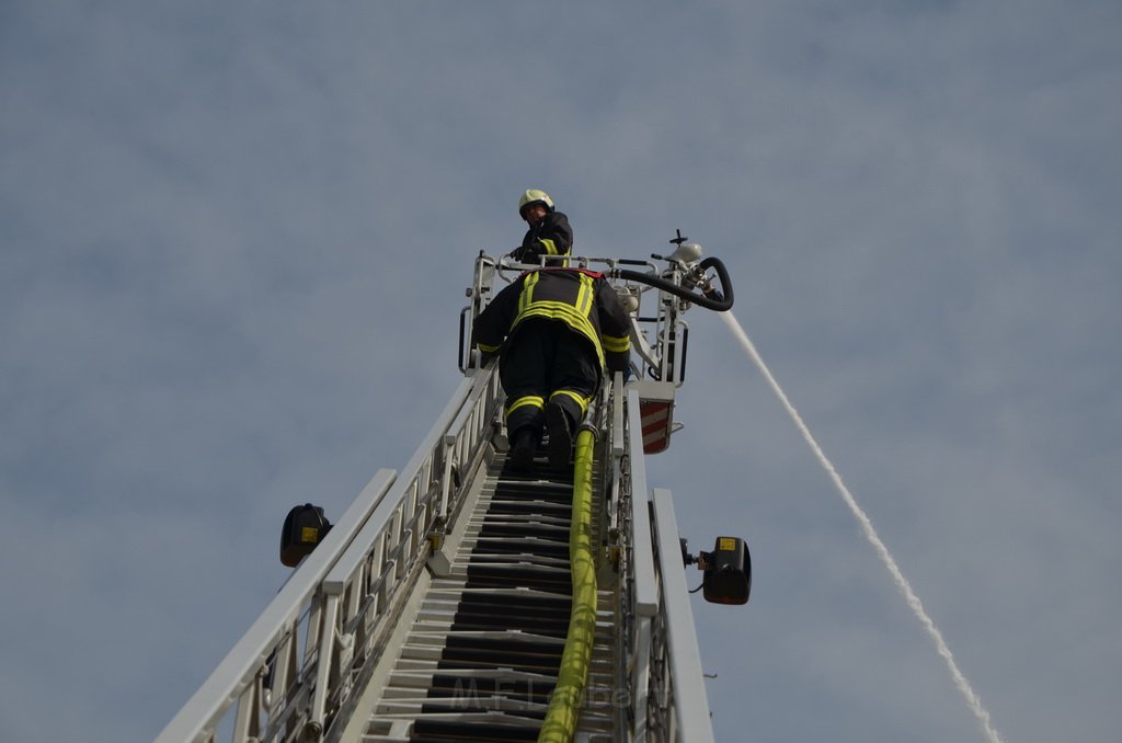 Grossfeuer Poco Lager Koeln Porz Gremberghoven Hansestr P858.jpg - Miklos Laubert